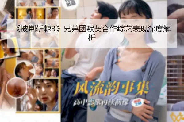 《披荆斩棘3》兄弟团默契合作综艺表现深度解析